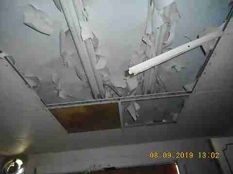 15779 Linden (15)_m.jpg